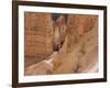 People on Trail, Bryce Canyon National Park, Utah, United States of America, North America-Jean Brooks-Framed Photographic Print