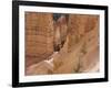 People on Trail, Bryce Canyon National Park, Utah, United States of America, North America-Jean Brooks-Framed Photographic Print