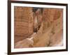 People on Trail, Bryce Canyon National Park, Utah, United States of America, North America-Jean Brooks-Framed Photographic Print