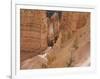 People on Trail, Bryce Canyon National Park, Utah, United States of America, North America-Jean Brooks-Framed Photographic Print