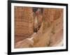 People on Trail, Bryce Canyon National Park, Utah, United States of America, North America-Jean Brooks-Framed Photographic Print