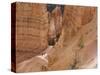 People on Trail, Bryce Canyon National Park, Utah, United States of America, North America-Jean Brooks-Stretched Canvas