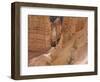 People on Trail, Bryce Canyon National Park, Utah, United States of America, North America-Jean Brooks-Framed Photographic Print