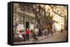 People Outside a Cafe on Ile De La Cite, Paris, France, Europe-Julian Elliott-Framed Stretched Canvas