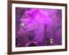People Painted with Bright Colors Dance During the Festival of Holi on March 7, 2004-Anupam Nath-Framed Photographic Print