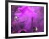 People Painted with Bright Colors Dance During the Festival of Holi on March 7, 2004-Anupam Nath-Framed Photographic Print