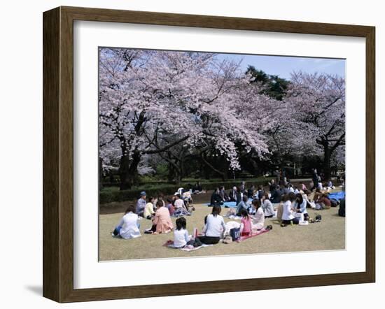 People Partying Under Cherry Blossoms, Shinjuku Park, Shinjuku, Tokyo, Honshu, Japan-null-Framed Premium Photographic Print