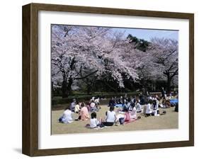 People Partying Under Cherry Blossoms, Shinjuku Park, Shinjuku, Tokyo, Honshu, Japan-null-Framed Premium Photographic Print