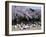 People Partying Under Cherry Blossoms, Shinjuku Park, Shinjuku, Tokyo, Honshu, Japan-null-Framed Premium Photographic Print