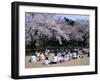 People Partying Under Cherry Blossoms, Shinjuku Park, Shinjuku, Tokyo, Honshu, Japan-null-Framed Premium Photographic Print