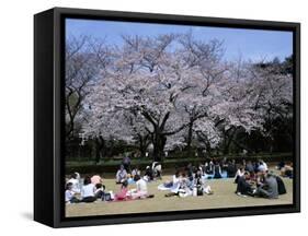 People Partying Under Cherry Blossoms, Shinjuku Park, Shinjuku, Tokyo, Honshu, Japan-null-Framed Stretched Canvas