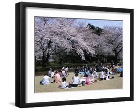 People Partying Under Cherry Blossoms, Shinjuku Park, Shinjuku, Tokyo, Honshu, Japan-null-Framed Photographic Print