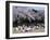 People Partying Under Cherry Blossoms, Shinjuku Park, Shinjuku, Tokyo, Honshu, Japan-null-Framed Photographic Print