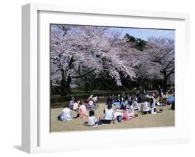 People Partying Under Cherry Blossoms, Shinjuku Park, Shinjuku, Tokyo, Honshu, Japan-null-Framed Photographic Print