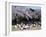 People Partying Under Cherry Blossoms, Shinjuku Park, Shinjuku, Tokyo, Honshu, Japan-null-Framed Photographic Print