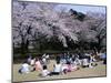 People Partying Under Cherry Blossoms, Shinjuku Park, Shinjuku, Tokyo, Honshu, Japan-null-Mounted Photographic Print
