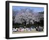 People Partying Under Cherry Blossoms, Shinjuku Park, Shinjuku, Tokyo, Honshu, Japan-null-Framed Photographic Print