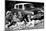 People Picnicking with their 1960 Ford Anglia Deluxe, (1960)-null-Mounted Photographic Print