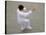 People Practice Taichi, China-Keren Su-Stretched Canvas