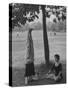 People Practicing Yoga in Central Park-null-Stretched Canvas