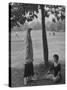 People Practicing Yoga in Central Park-null-Stretched Canvas