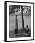 People Practicing Yoga in Central Park-null-Framed Photographic Print