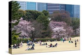 People Relaxing and Picnicking Amongst Beautiful Cherry Blossom, Tokyo Imperial Palace East Gardens-Martin Child-Stretched Canvas
