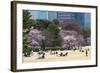 People Relaxing and Picnicking Amongst Beautiful Cherry Blossom, Tokyo Imperial Palace East Gardens-Martin Child-Framed Photographic Print