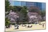 People Relaxing and Picnicking Amongst Beautiful Cherry Blossom, Tokyo Imperial Palace East Gardens-Martin Child-Mounted Photographic Print