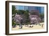 People Relaxing and Picnicking Amongst Beautiful Cherry Blossom, Tokyo Imperial Palace East Gardens-Martin Child-Framed Photographic Print