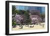 People Relaxing and Picnicking Amongst Beautiful Cherry Blossom, Tokyo Imperial Palace East Gardens-Martin Child-Framed Photographic Print