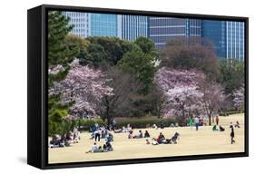 People Relaxing and Picnicking Amongst Beautiful Cherry Blossom, Tokyo Imperial Palace East Gardens-Martin Child-Framed Stretched Canvas