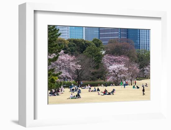 People Relaxing and Picnicking Amongst Beautiful Cherry Blossom, Tokyo Imperial Palace East Gardens-Martin Child-Framed Photographic Print