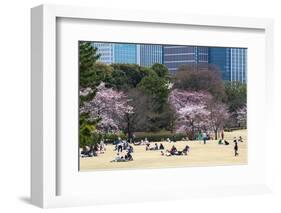 People Relaxing and Picnicking Amongst Beautiful Cherry Blossom, Tokyo Imperial Palace East Gardens-Martin Child-Framed Photographic Print