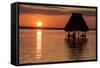 People Relaxing at Sunset, Lago Peten Itza, El Remate, Guatemala, Central America-Colin Brynn-Framed Stretched Canvas