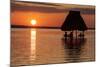 People Relaxing at Sunset, Lago Peten Itza, El Remate, Guatemala, Central America-Colin Brynn-Mounted Photographic Print