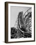 People Riding in a Roller Coaster-Francis Miller-Framed Photographic Print