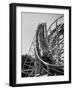 People Riding in a Roller Coaster-Francis Miller-Framed Photographic Print