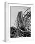 People Riding in a Roller Coaster-Francis Miller-Framed Photographic Print