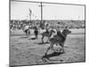 People Riding Zebras During the Ostrich Racing, Grange County Fair-Loomis Dean-Mounted Photographic Print