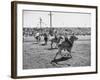 People Riding Zebras During the Ostrich Racing, Grange County Fair-Loomis Dean-Framed Photographic Print