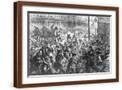 Brown Frame