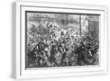 White Frame