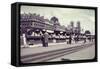 People Shopping at Book and Print Stalls Along the Seine River-William Vandivert-Framed Stretched Canvas