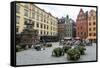 People Sitting at Stortorget Square in Gamla Stan, Stockholm, Sweden, Scandinavia, Europe-Yadid Levy-Framed Stretched Canvas