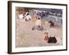 People Sitting on the Beach, 1906-Joaquín Sorolla y Bastida-Framed Giclee Print