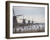 People Skate on Frozen Canals in Kinderdijk's Mill Area, a UNESCO World Heritage Site, Netherlands-null-Framed Premium Photographic Print