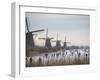 People Skate on Frozen Canals in Kinderdijk's Mill Area, a UNESCO World Heritage Site, Netherlands-null-Framed Premium Photographic Print