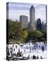 People Skating in Central Park, Manhattan, New York City, New York, USA-Peter Scholey-Stretched Canvas