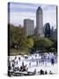 People Skating in Central Park, Manhattan, New York City, New York, USA-Peter Scholey-Stretched Canvas